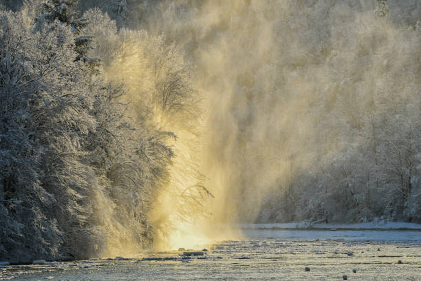 istock Snow falling from trees at sunrise. Winter in the San Valley. 1089070894