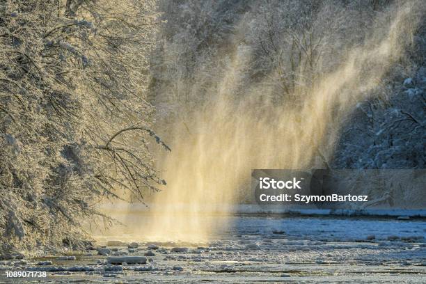 Snow Falling From Trees At Sunrise Winter In The San Valley Stock Photo - Download Image Now