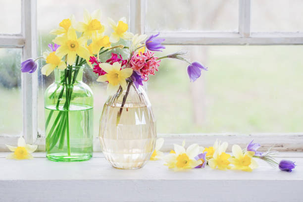 fiori primaverili sul davanzale della finestra - hyacinth flower vase daffodil foto e immagini stock