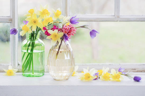 窓辺の春の花 - daffodil flower yellow vase ストックフォトと画像