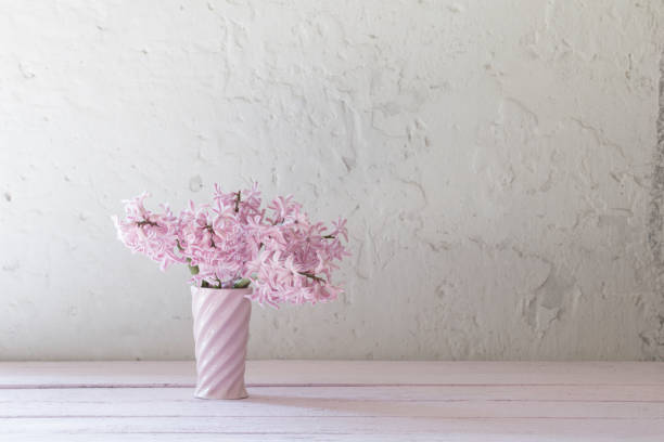 istock pink hyacinths in vase on white background 1089072254