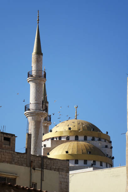 istock Teh Mosque of Salt 1089093580