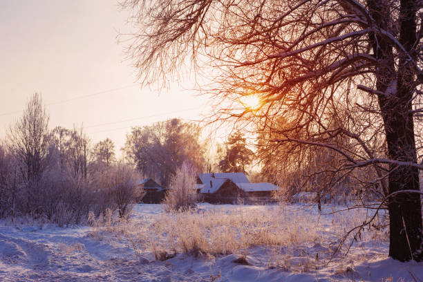 istock the beautiful winter landscape 1089097734