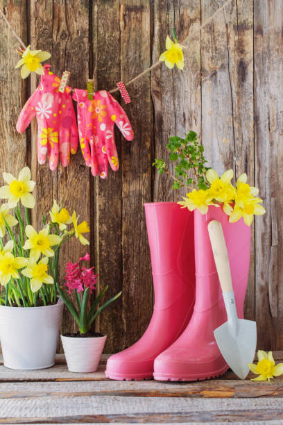 istock rubber boots and spring flowers on wooden background 1089097752