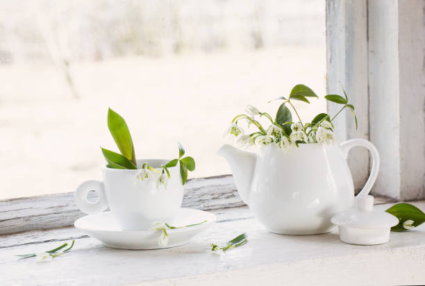 istock still life with white snowdrops 1089097856