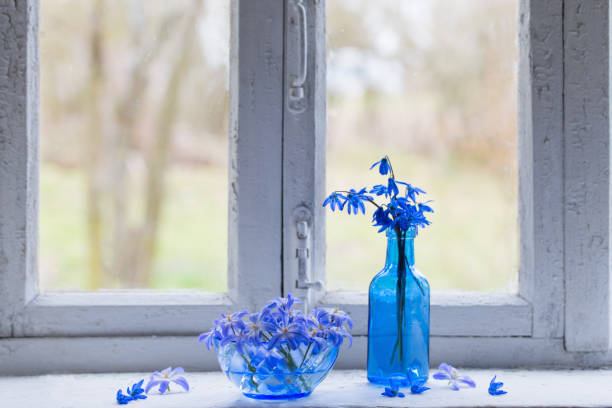 istock still life with whstill life with blue snowdropsite snowdrops 1089097868