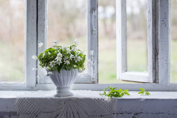 istock still life with white snowdrops on windowsill 1089097888