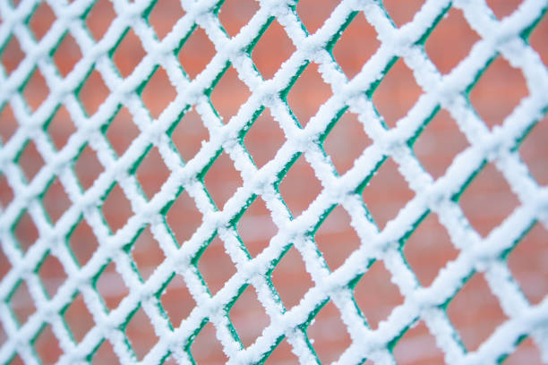 istock Plastic frost fence 1089103618