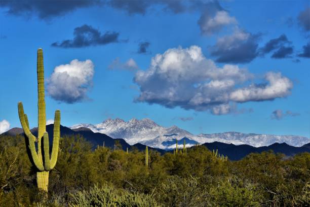 istock Snow-capped Four Peaks and Superstition Mountains outside Mesa, AZ 1089107122