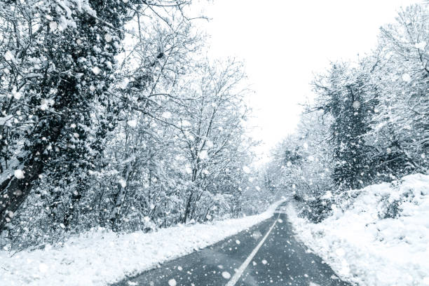 istock Winter forest snow road. Forest road winter snow view. 1089109160