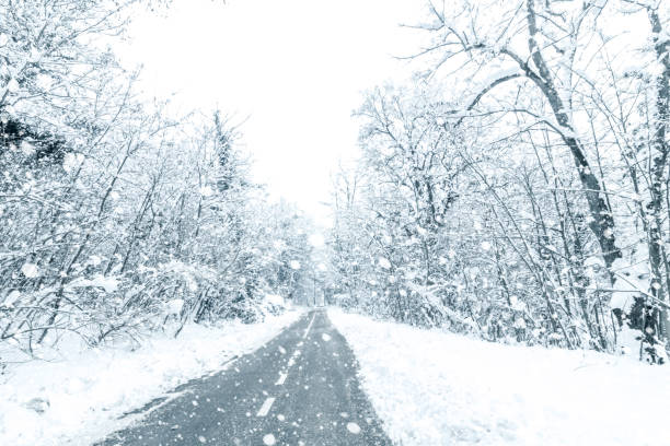 istock Winter forest snow road. Forest road winter snow view. 1089109598