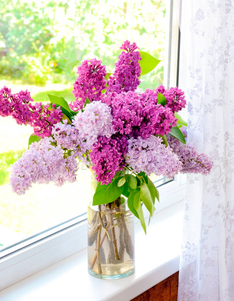 istock lilac bouquet window sill 1089113562