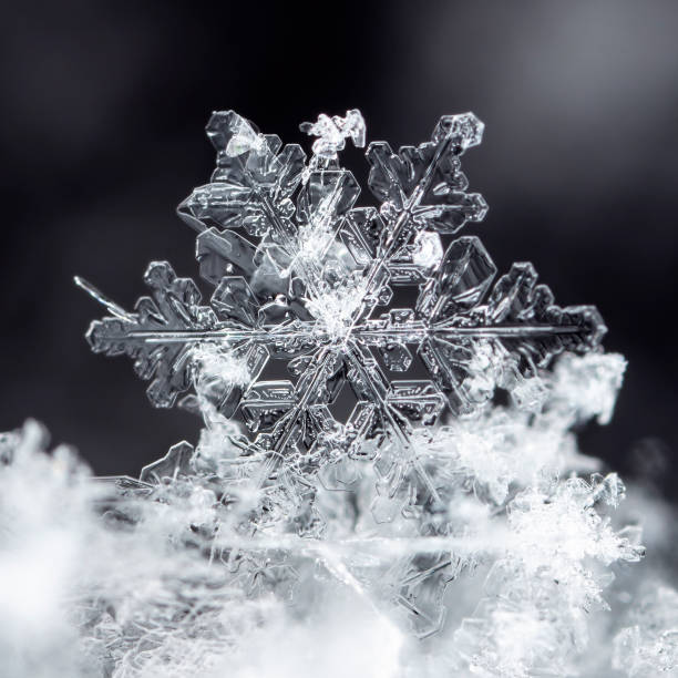 istock natural snowflakes on snow, winter 1089117218