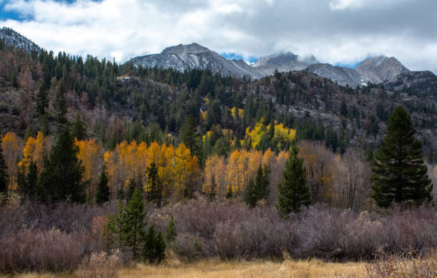 istock Fall Foliage in Inyo County California 1089118876