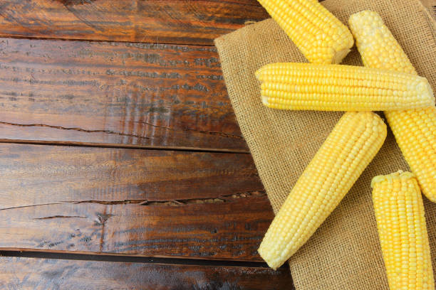 istock ear of raw corn, harvested from plantation, on rustic cloth, on rustic wooden table. space for text 1089119656