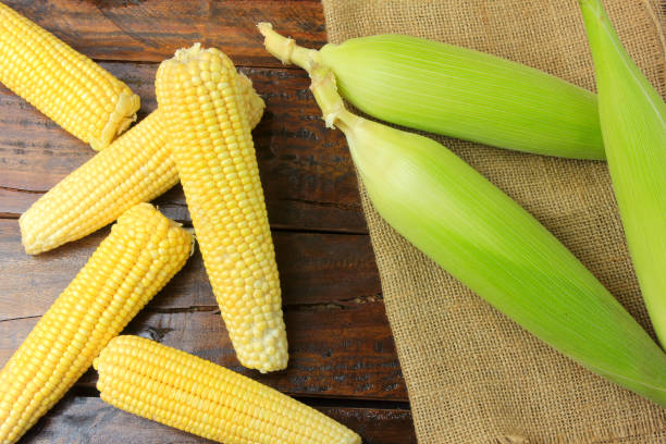 istock ear of raw corn, harvested from plantation, on rustic cloth, on rustic wooden table. top view 1089119896