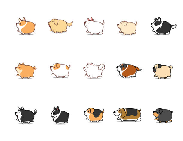 fat dog walking cartoon zestaw ikon, ilustracja wektorowa - terrier dog puppy animal stock illustrations