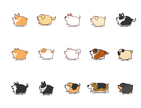 Fat dog walking cartoon icon set, vector illustration