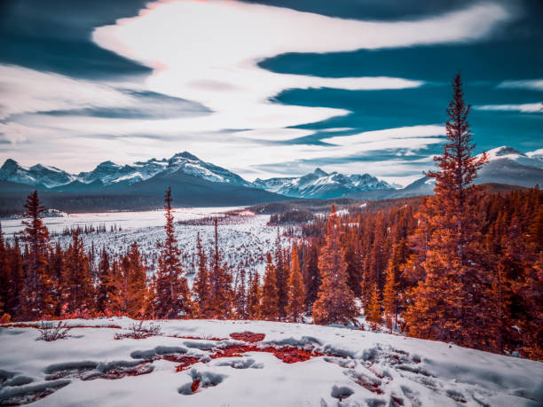 istock a magnificent view after the snow 1089122142