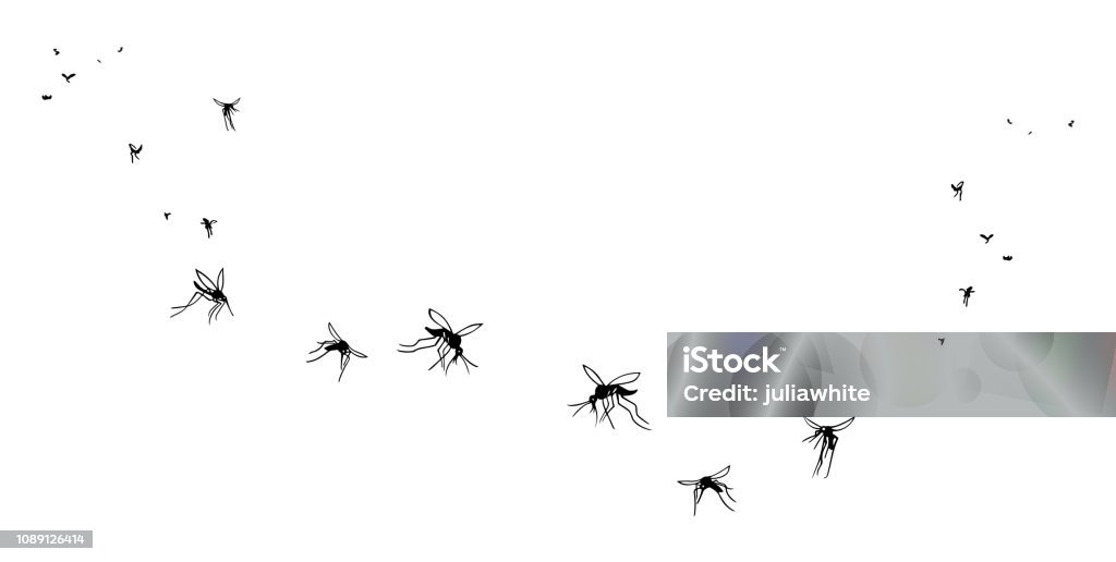 A flock of flying mosquitoes. A flock of flying mosquitoes. 
 Silhouette, graphic image. Vector, isolated on white background Mosquito stock vector