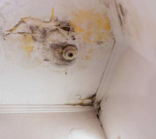 istock Rain water infiltration and leak inside a home building roof white wall 1089126966