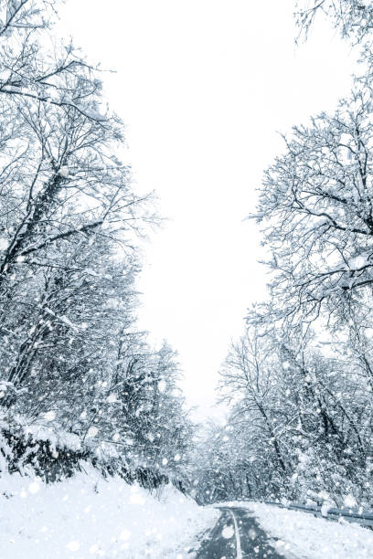 istock Winter forest snow road. Forest road winter snow view. 1089128578