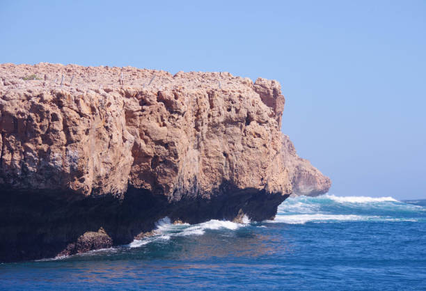 istock Shark Bay, Western Australia 1089131160