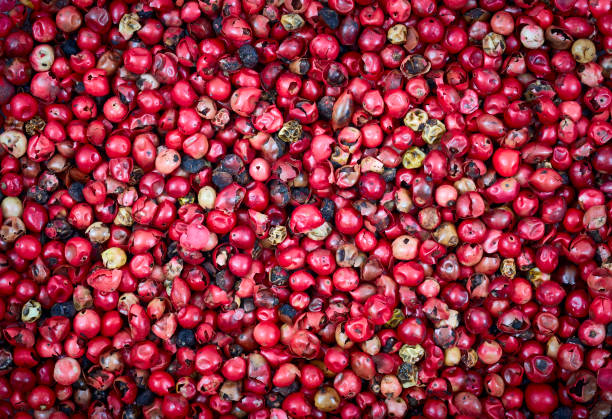 istock Dry organic red peppercorns. 1089133424