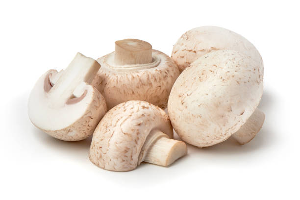 istock Champignons, close-up, isolated on white background. 1089133584