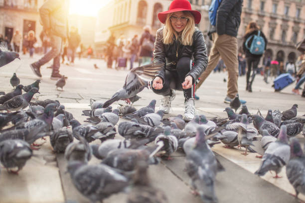 istock Young woman feeding pigeons 1089139544
