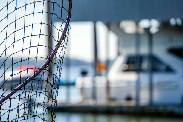 istock Netting with net for fishing in the bay 1089141848