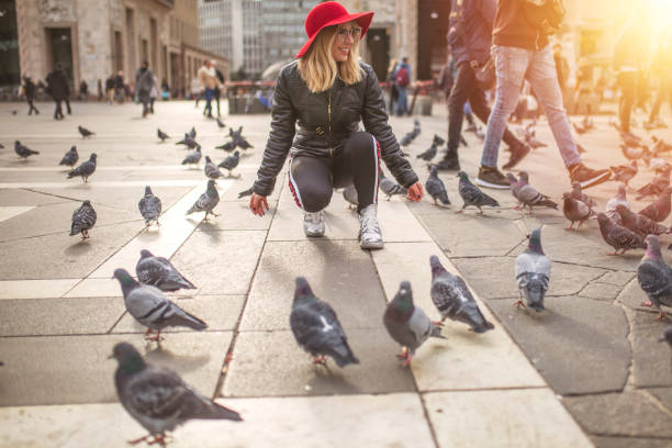 istock Young woman feeding pigeons 1089143430