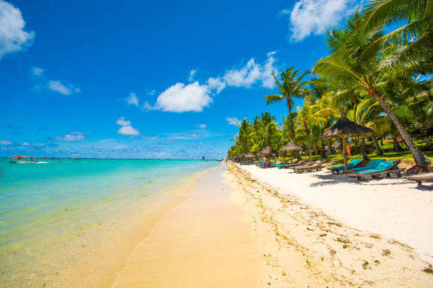 istock Trou aux biches.Tropical exotic beach with palms and clear blue water. 1089150272