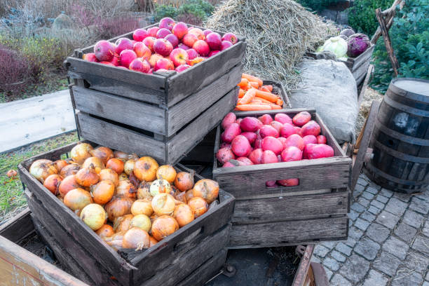 apples and onions in crates