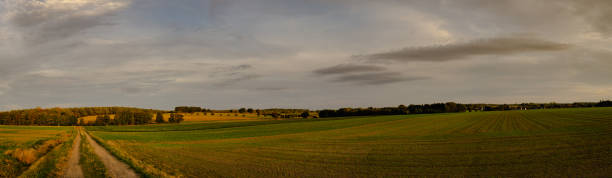 istock Panoramic view. Summer landscape with country road and field. 1089156406