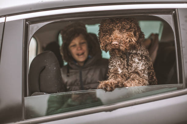 istock Traveling with my dog 1089160184
