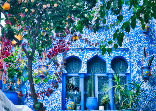 Arab style windows decorated with pots and a tangerine tree. Image taken in Chefchaouen, a beautiful village in northern Morocco Arab style windows decorated with pots and a tangerine tree. Image taken in Chefchaouen, a beautiful village in northern Morocco, Africa casbah photos stock pictures, royalty-free photos & images
