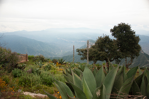 Elevated view of Moray Archeological Site, Urubamba, Sacred Valley, Perú