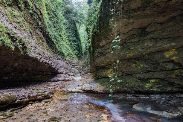 istock Narrow mountain river canyon 1089186066