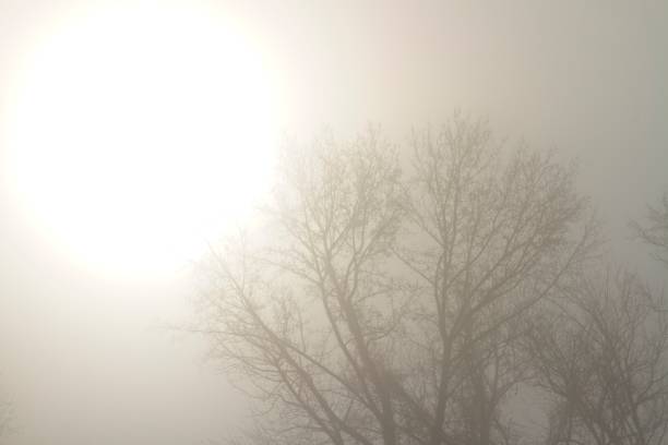 istock Sunrise and fog 1089190164