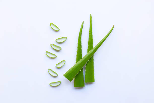 istock Cut Aloe Vera leaves with slices on white background. 1089195052