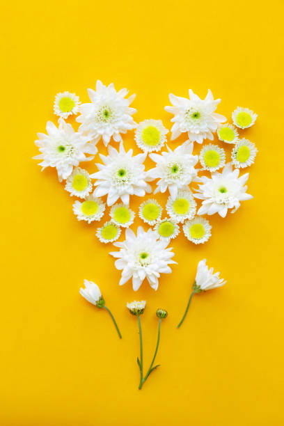 istock Composition of flowers on yellow paper background. 1089207078