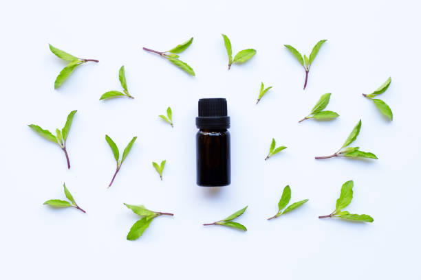 istock Holy basil essential oil in a glass bottle on white background 1089207462