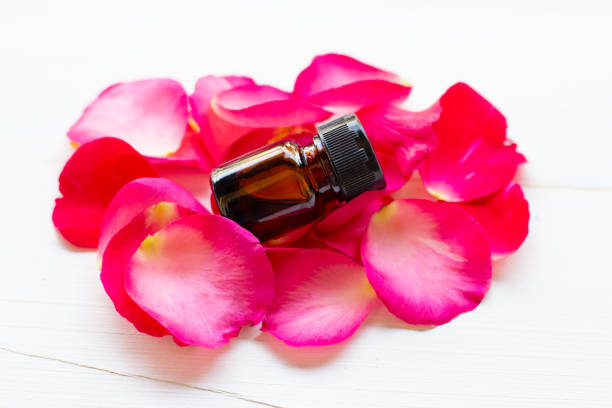 istock Essential oil with Rose petals on white wooden background. 1089208976
