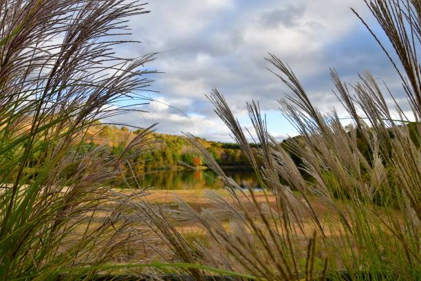 istock Lake in Autumn 1089211218