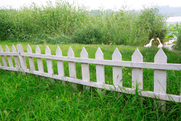 istock White wooden fence in a park 1089214454