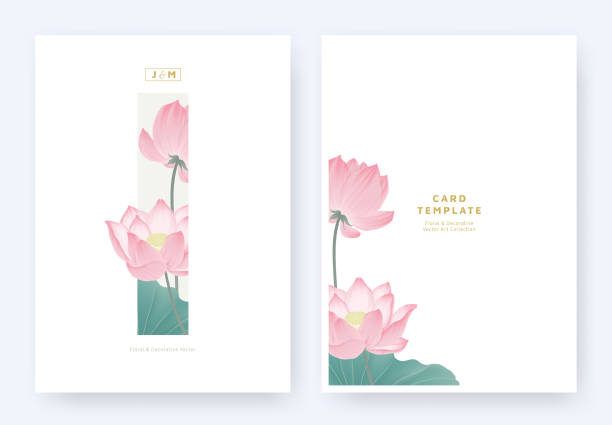 illustrazioni stock, clip art, cartoni animati e icone di tendenza di design minimalista del modello di biglietto d'invito floreale, fiori di loto rosa e foglie in rettangolo grigio chiaro su sfondo bianco, tema vintage pastello - lotus