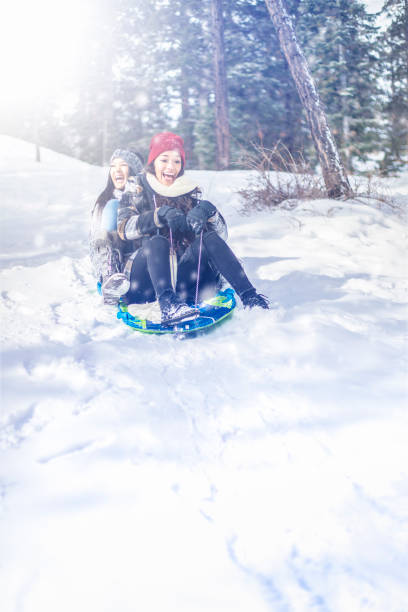 Sled in a backyard with snow and fence