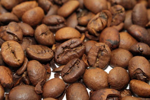 indonesio tostado de granos de café, su fuente para una taza de café - endosperm fotografías e imágenes de stock