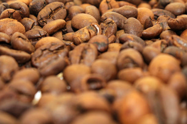istock Indonesian roasted coffee beans, your source for a cup of coffee 1089238890